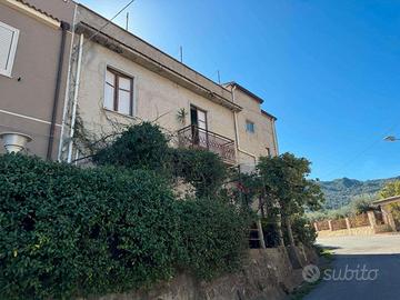 RGE 13/2024 Trib Patti