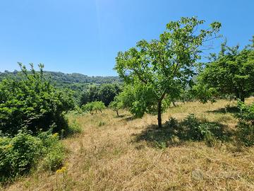 Due lotti di terreno di mq 9000