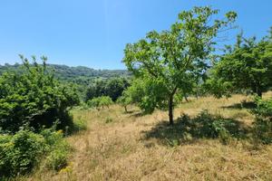 Due lotti di terreno di mq 9000