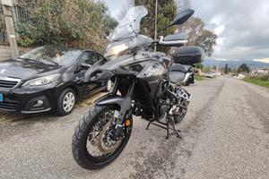 Benelli TRK 502 X 2023