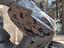 Immagine 10