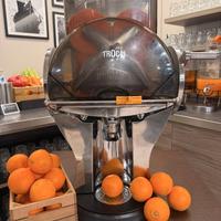 Macchina spremiagrumi professionale