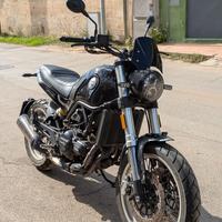 Benelli Leoncino 500