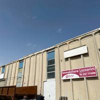 Capannone Industriale Nepi [Cod. rif 3229297ACG]