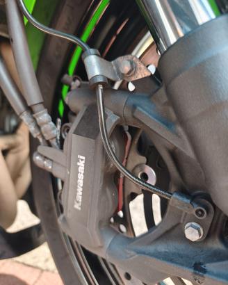 Kawasaki ZX 4RR 2025
