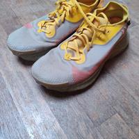 Nike Pegasus Trail 2 GTX