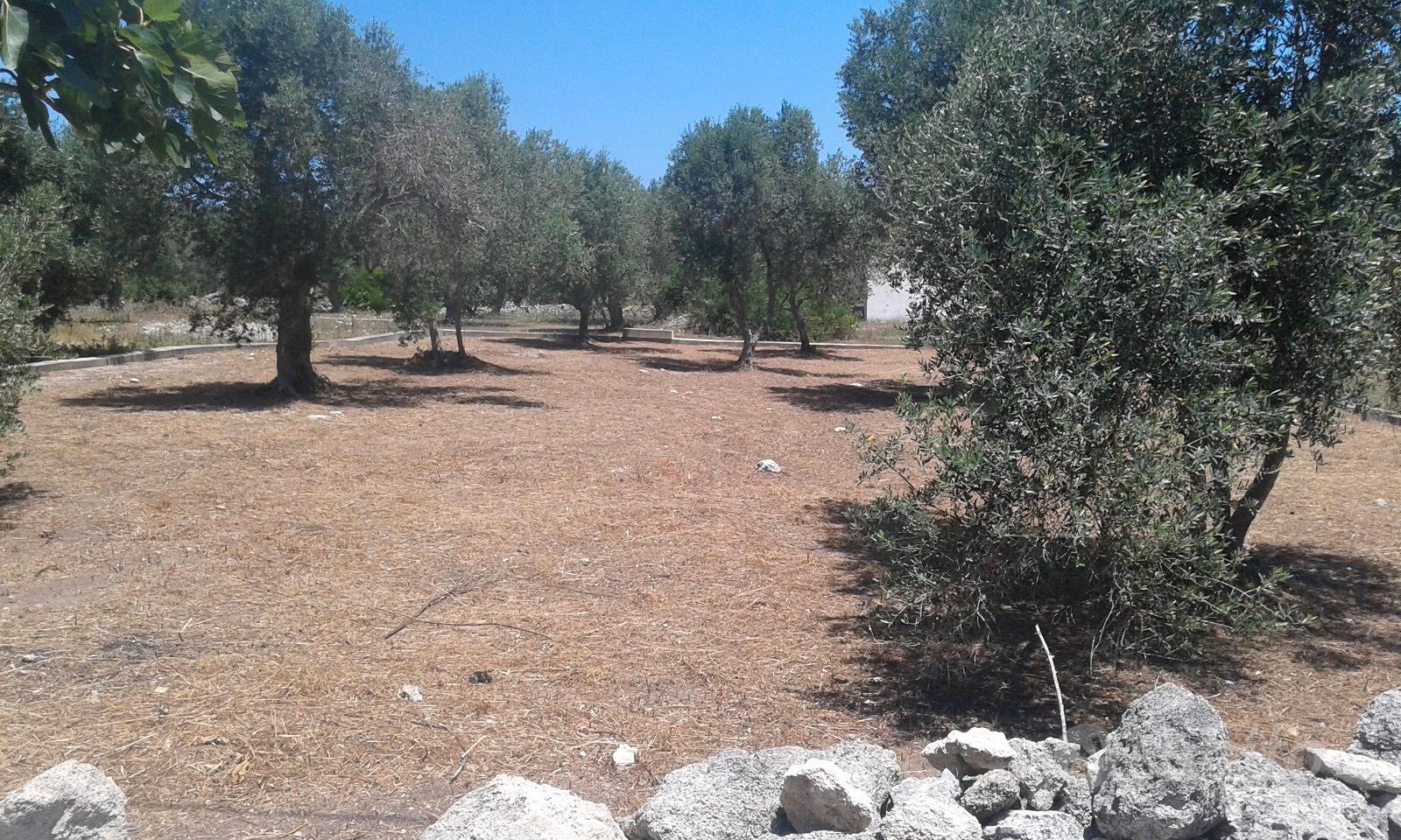 Terreno edificabile vicinanze mare - Vista 5
