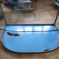 Acquario per tartarughe