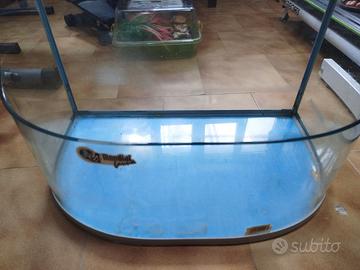 Acquario per tartarughe