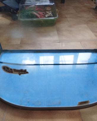 Acquario per tartarughe