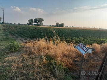 Terreno agricolo