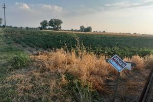 Terreno agricolo