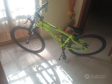 bicicletta