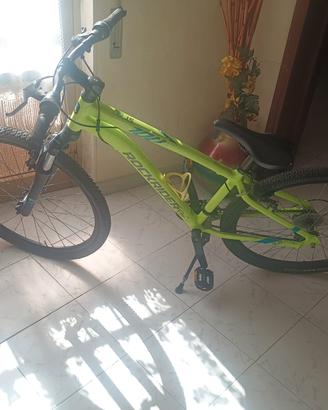 bicicletta