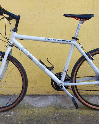 Bici mountain bike