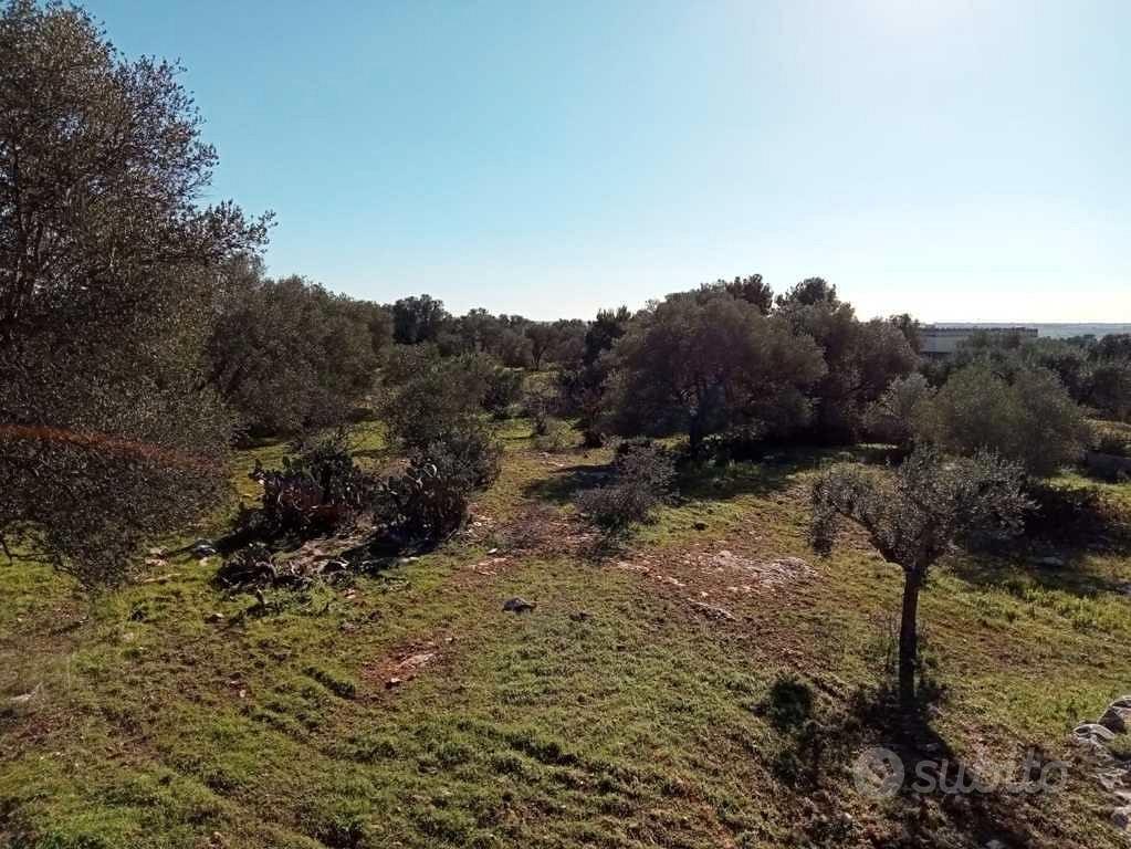 Trullo con terreno c.da Galeasi Grottaglie - Altro