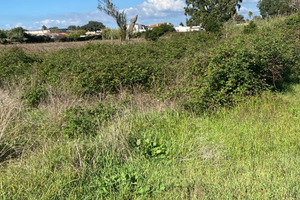 Circeo disponibili tre terreni agricoli