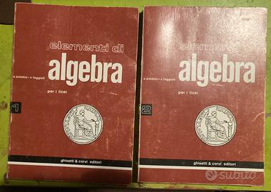 Elementi di Algebra vol 1 e 2 - Palatini Fagioli