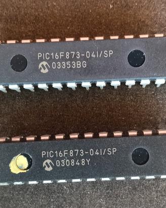Microcontroller PIC