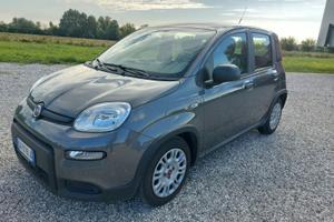 Fiat Panda 1.0 FireFly S&S Hybrid 5p 70cv