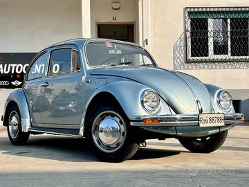 VOLKSWAGEN Maggiolino Winter Bug Edition