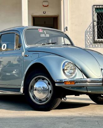 VOLKSWAGEN Maggiolino Winter Bug Edition
