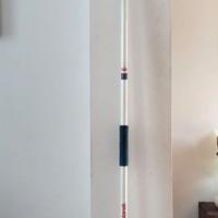 Giavellotto Polanik 500g