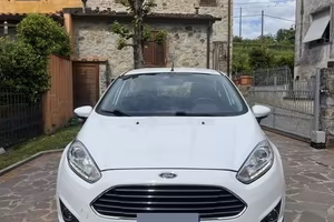 FORD FIESTA NEOPATENTATI