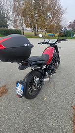 Benelli leoncino 500