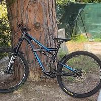 specialized comp 1 2014