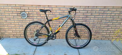 BICICLETTA MOUNTAIN BIKE