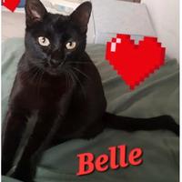 Femmina 1 anno circa