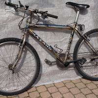 Bicicletta