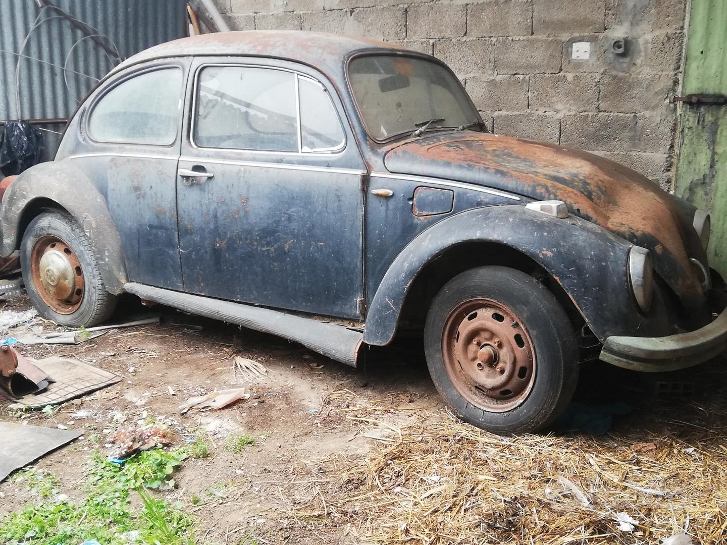 maggiolino 1971 - Auto In vendita a Trento