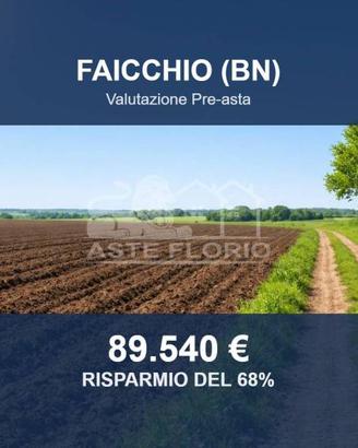 Immobile in asta di 11460 m² a Faicchio