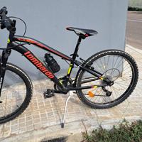 Bicicletta tropea lombardo 24