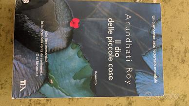 Il dio delle piccole cose