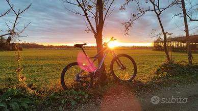 Mountain bike e bici da uomo città