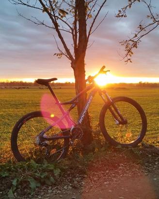 Mountain bike e bici da uomo città
