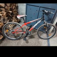 bicicletta ragazzo 24 "