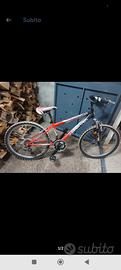 bicicletta ragazzo 24 "