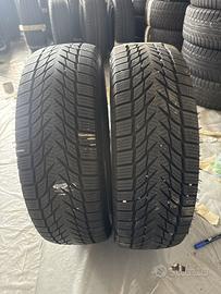 gomme usate 1856515 Winter Radar - Rw 5