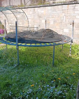 trampolino elastico