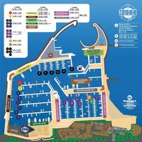 Posto Barca Porto di Nettuno