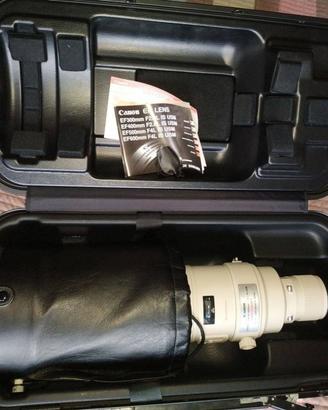 Canon EF 600 mm f/4L IS USM