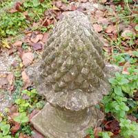 Pigne da giardino