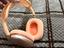 Immagine 4