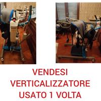 sollevatore per disabili 