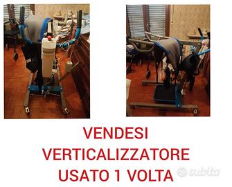 sollevatore per disabili 