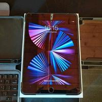 iPad mini 5 64GB Wi-Fi con iPadOS 14 e TrollStore